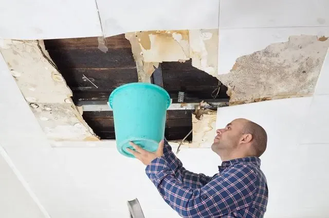 Bucket held under an opened ceiling where a leak came through from above